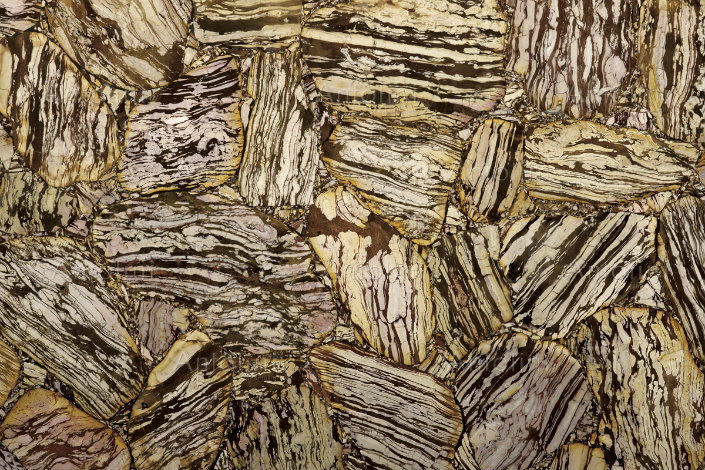 002-a_zebra_jasper