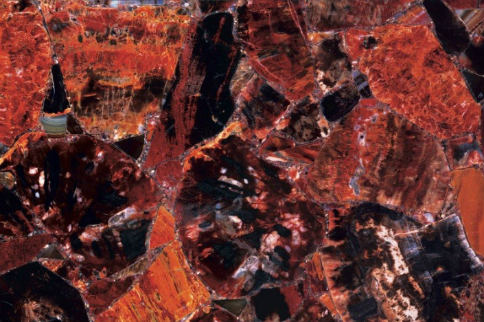 3262_red-petrified-wood