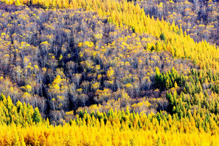 10 Best Places to Visit in Tibet Plateau