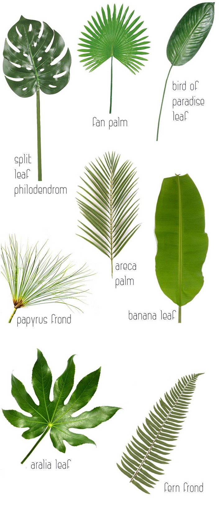 Home decor Ideas: Use tropical leaves