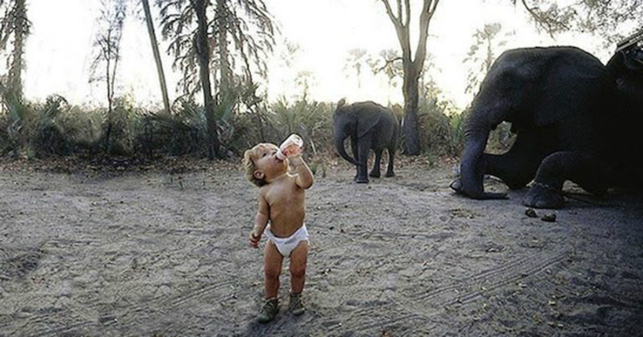 Tippi the little girl that grow up alongside wild animals Breathtaking Photos 1
