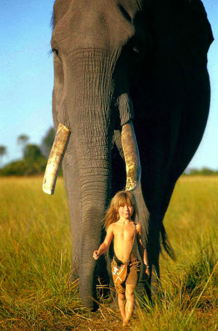 Tippi the little girl that grow up alongside wild animals Breathtaking Photos 11