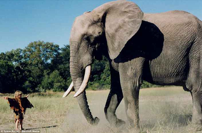 Tippi the little girl that grow up alongside wild animals Breathtaking Photos 17