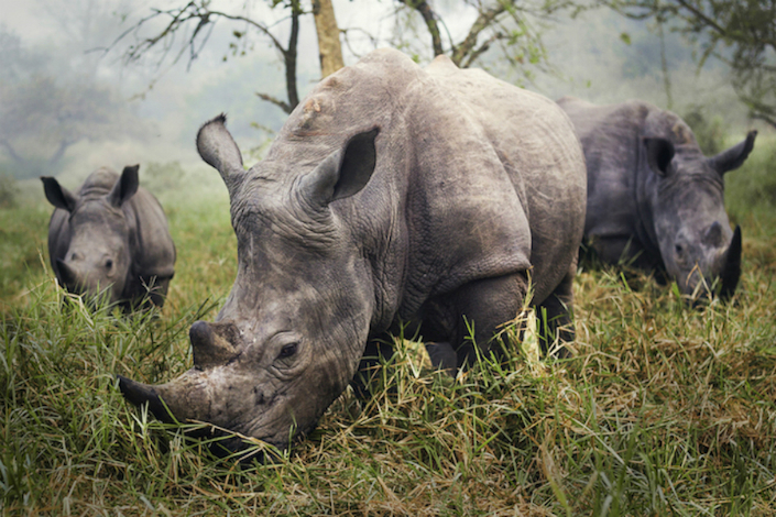 The winners of National Geographic 2015 Traveler Photo Contest