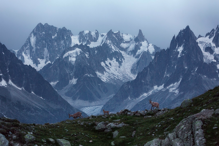 BRABBU Design Inspiration - The French Alps by Lukas Furlan 1