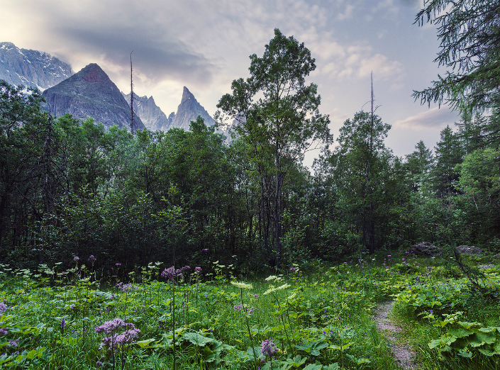 BRABBU Design Inspiration - The French Alps by Lukas Furlan 9