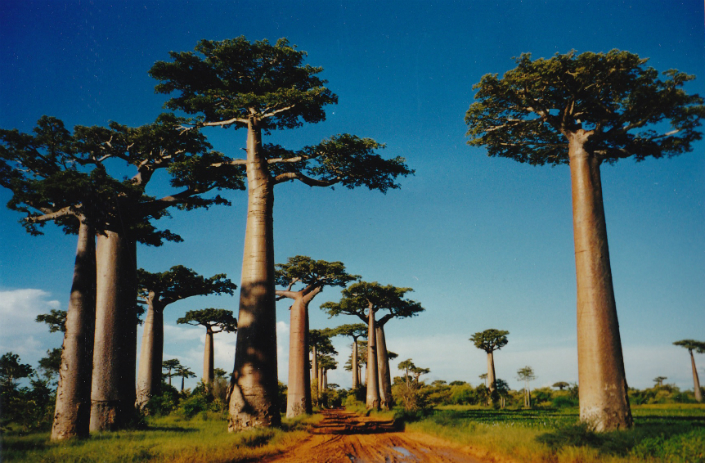 The 12 Must Visit Countries by the Man that travelled all the countries in the world 12