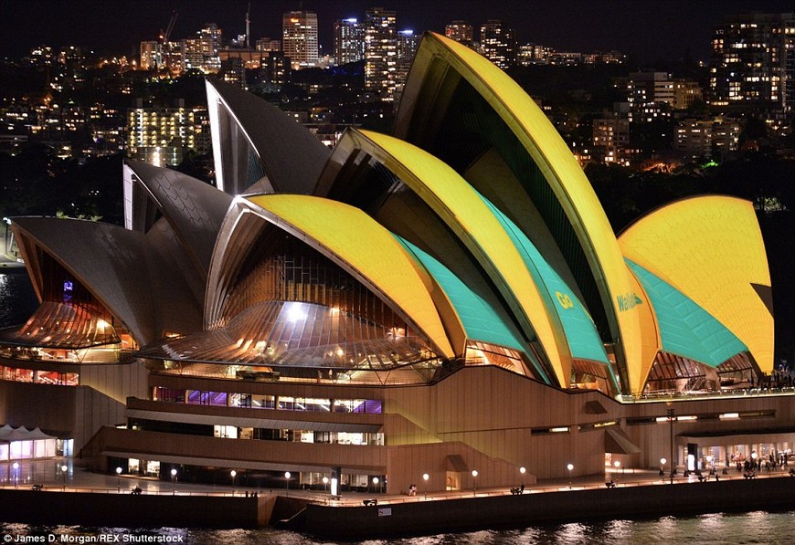 rugby world cup 2015 final All Blacks vs Wallabies,the last historic clash
