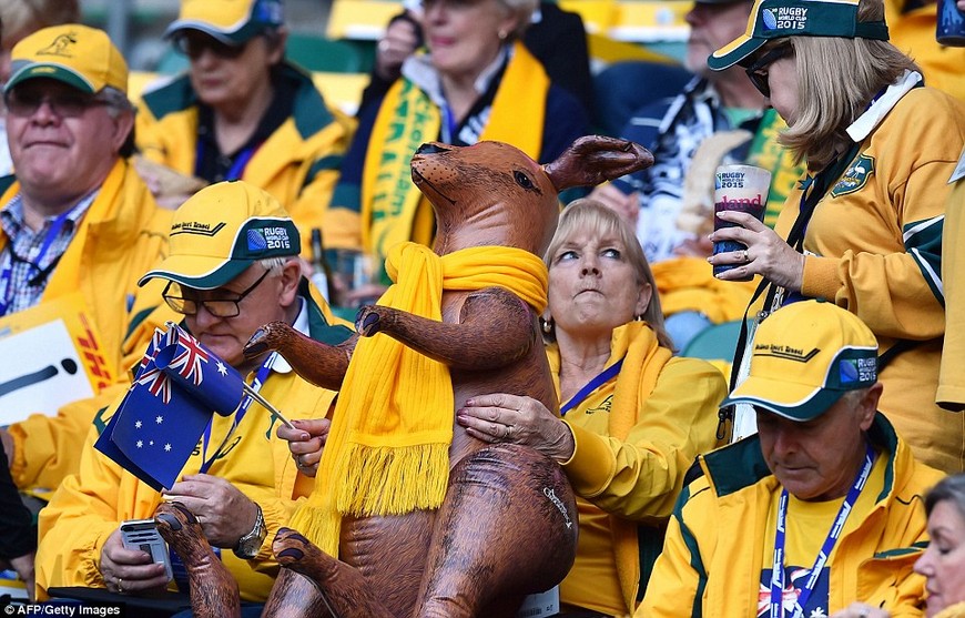 rugby world cup 2015 final All Blacks vs Wallabies,the last historic clash