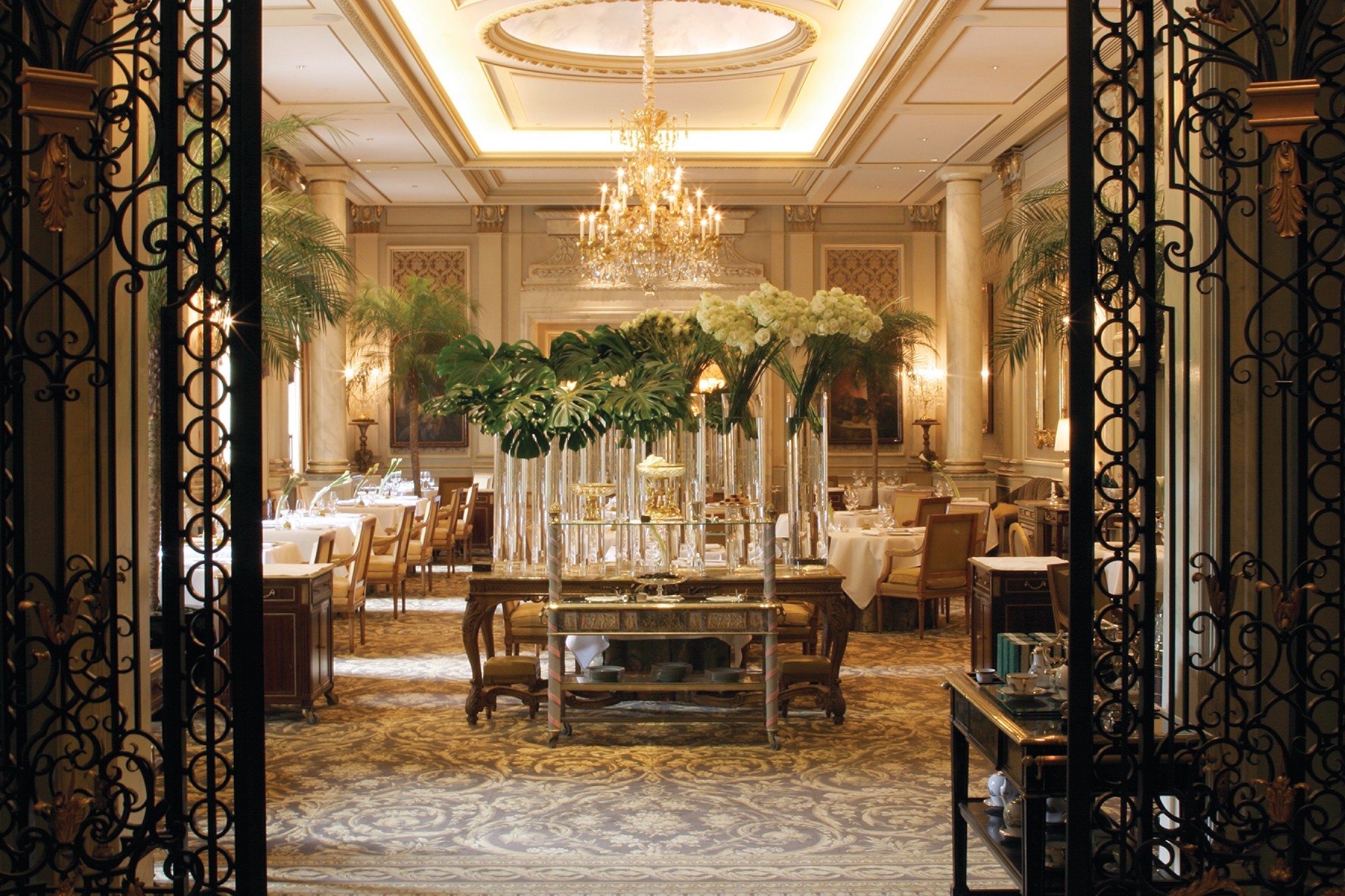 best luxurious restaurants in paris le cinq