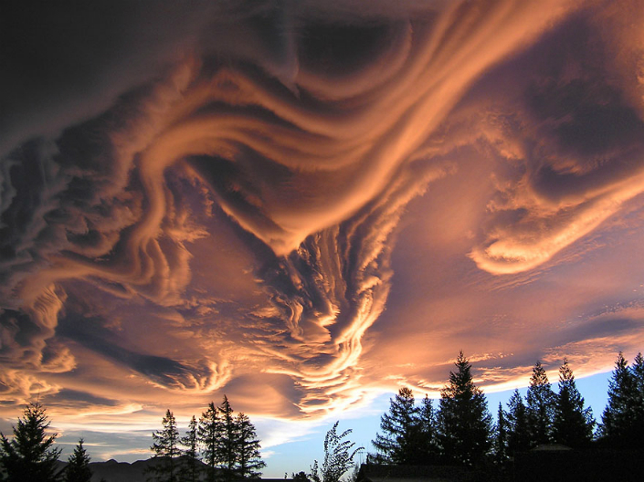 optical illusions