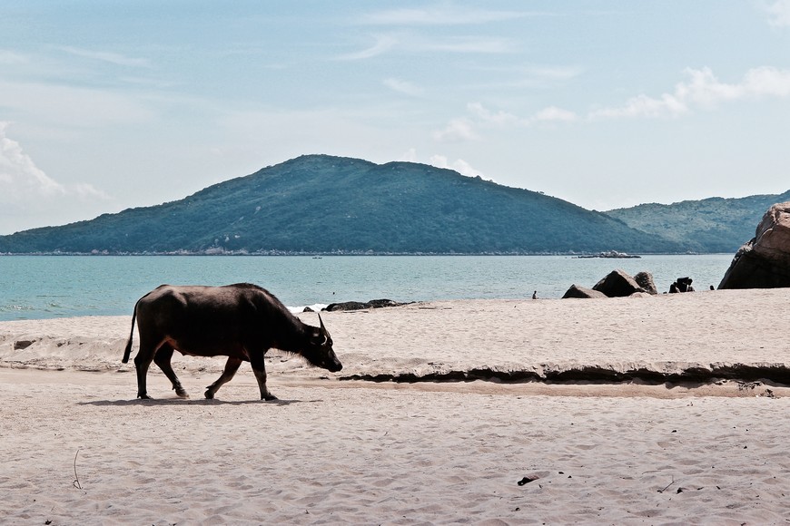 What To Do in Kong Kong This Summer Holidays? 