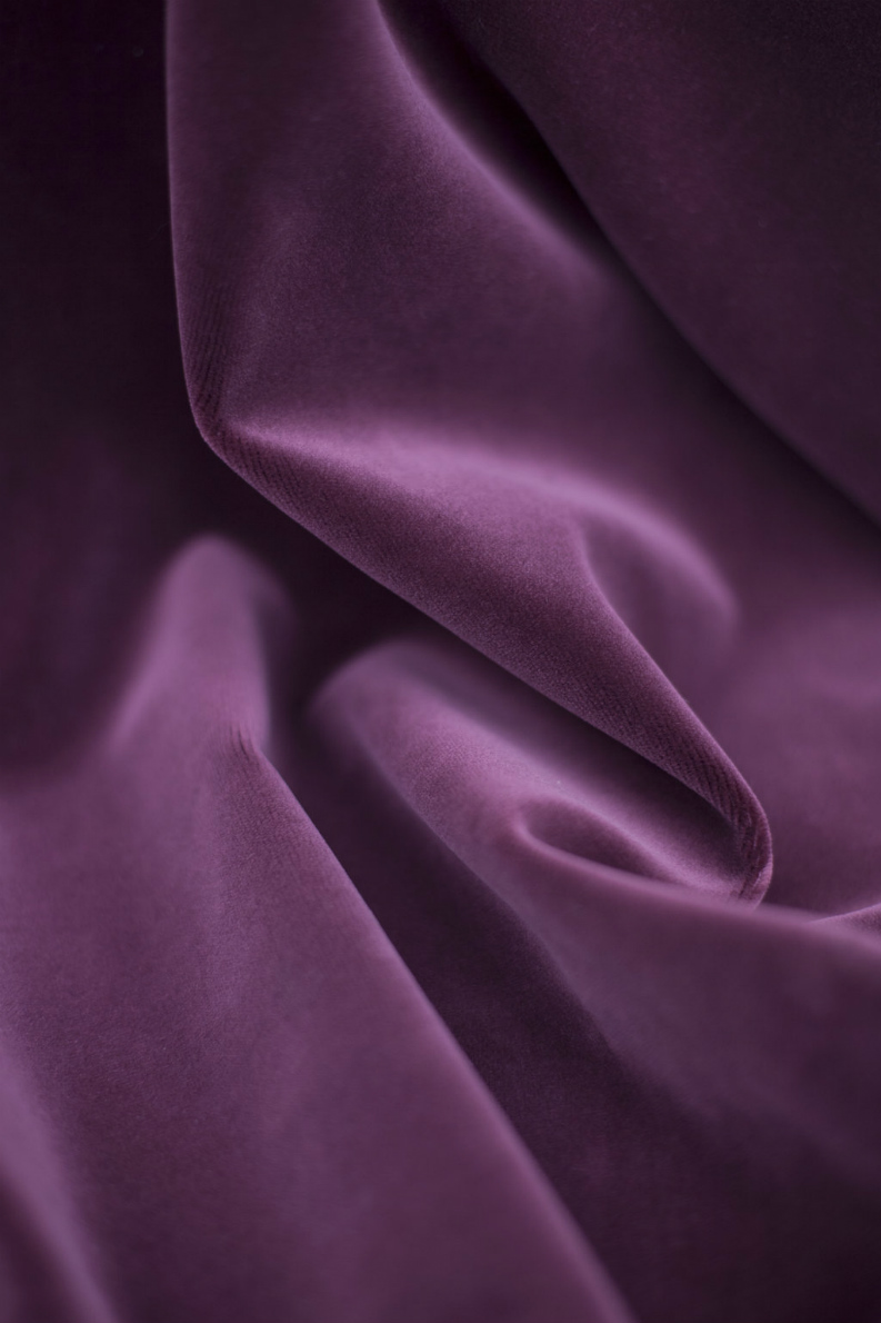 Pantone colour Bodacious – Pantone 17-3240 DECOBEL Eracle05