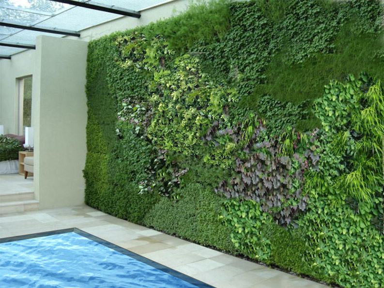 oasis-interior-landscaping