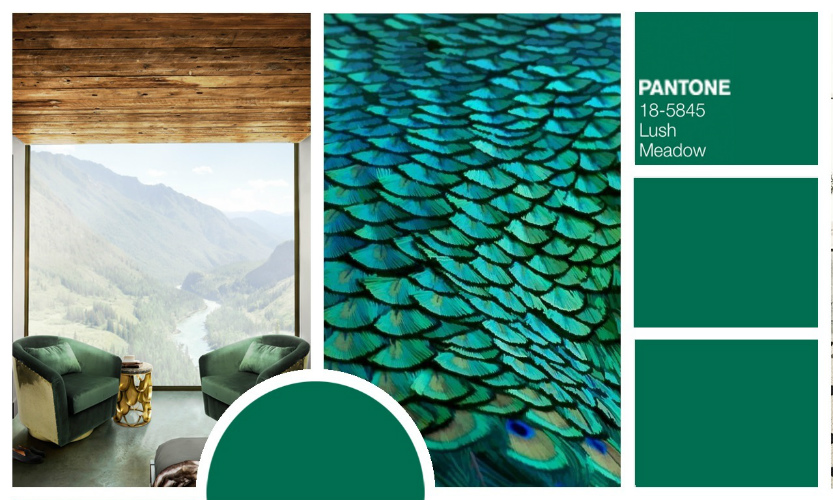 Pantone Colors