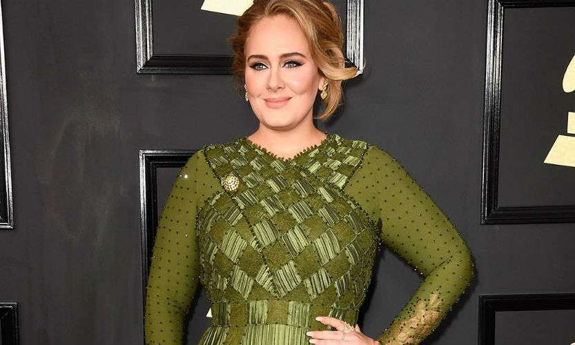 19 Red Carpet Best Moments at Grammys 2017