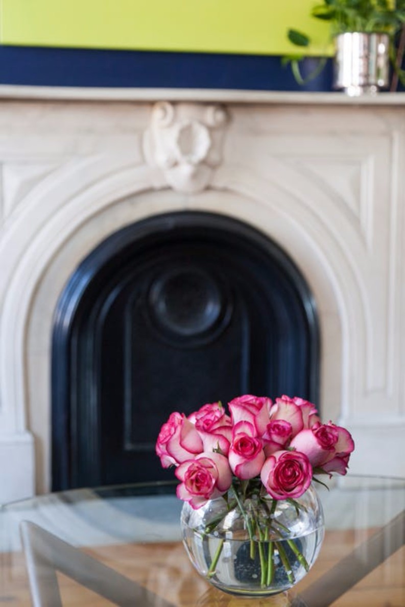 15 Amazing Interior Design Styles Every Dog Lover Must-See