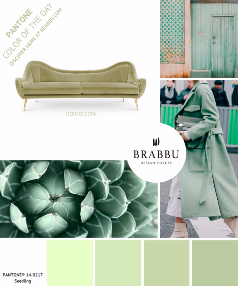 5 Colorful Interior Design Tips with Pantone Colors of the Week | Interior Design Tips. Pantone Colors of the Week. Color Trends #designtrends #interiordesigntips #pantonecoloroftheday > more inspirations here: https://goo.gl/CPyiEI