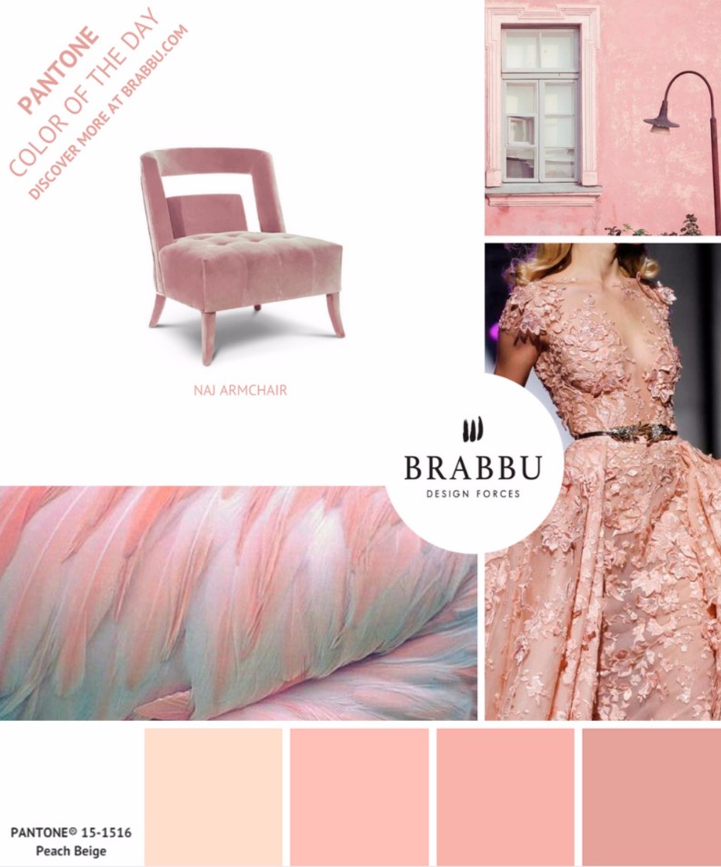 5 Colorful Interior Design Tips with Pantone Colors of the Week | Interior Design Tips. Pantone Colors of the Week. Color Trends #designtrends #interiordesigntips #pantonecoloroftheday > more inspirations here: https://goo.gl/CPyiEI