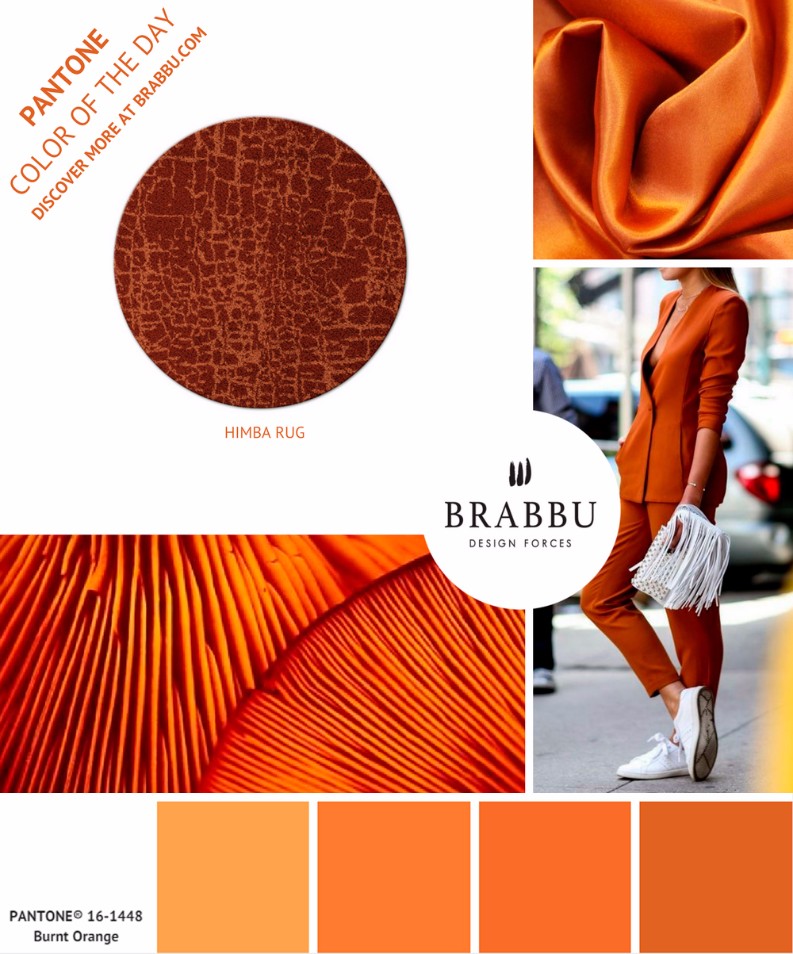 5 Colorful Interior Design Tips with Pantone Colors of the Week II | Interior Design Tips. Pantone Colors of the Week. Color Trends #designtrends #interiordesigntips #pantonecoloroftheday > more inspirations here: https://goo.gl/CPyiEI