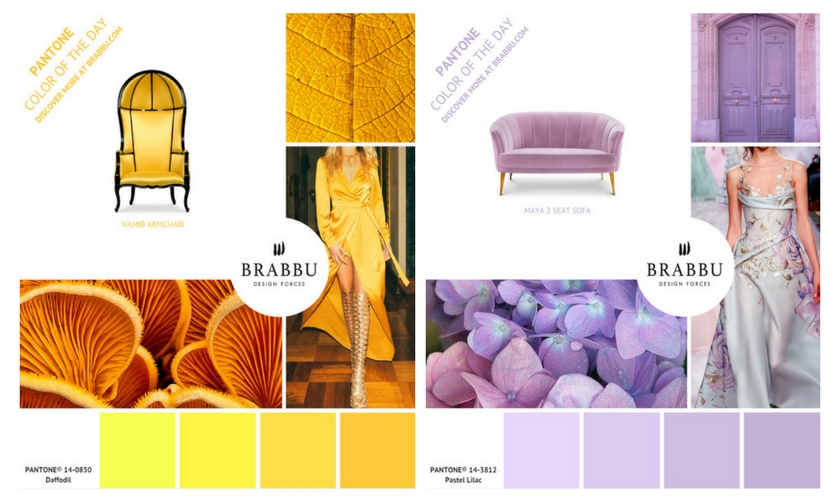 5 Colorful Interior Design Tips with Pantone Colors of the Week II | Interior Design Tips. Pantone Colors of the Week. Color Trends #designtrends #interiordesigntips #pantonecoloroftheday > more inspirations here: https://goo.gl/CPyiEI