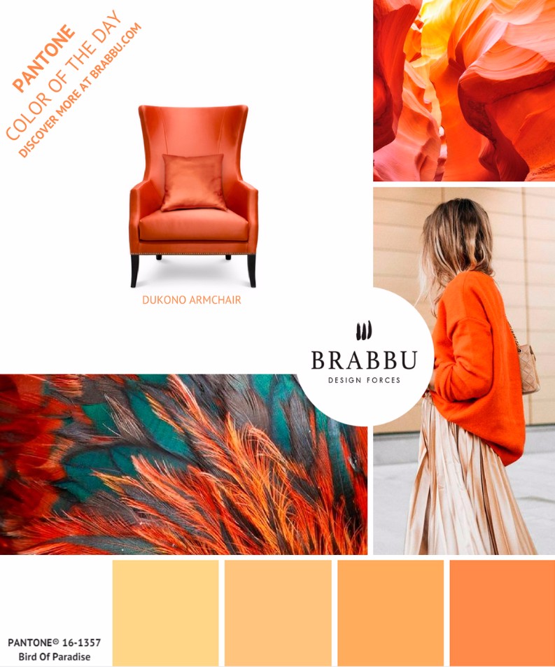 5 Wanderlust Mid-Century Design Furniture Pieces To Colorize Your Day_Bird of Paradise