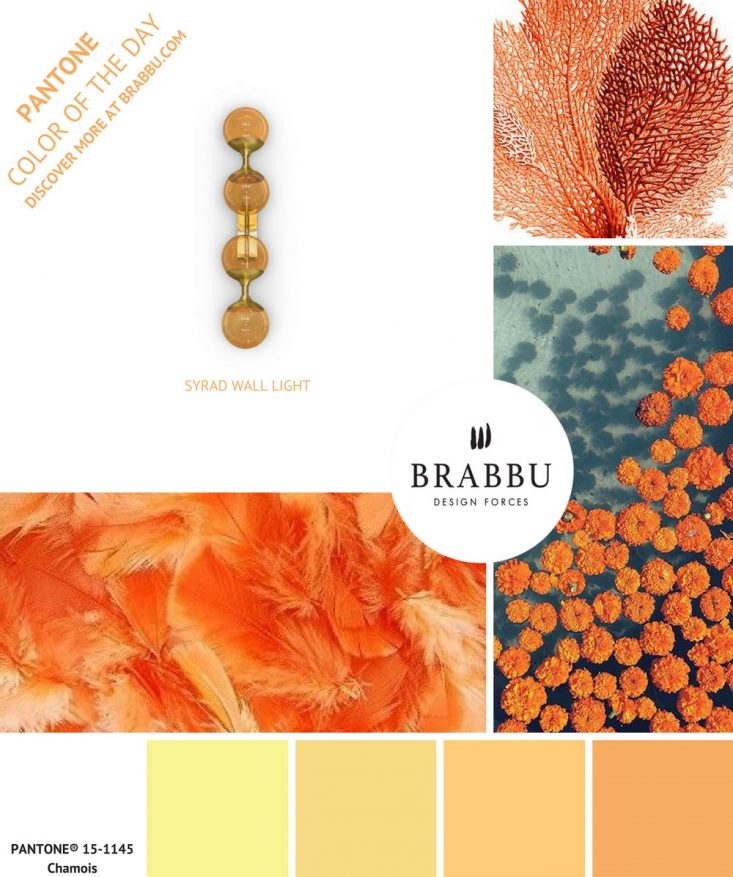 5 COLORFUL DECORATING IDEAS WITH PANTONE COLORS OF THE DAY