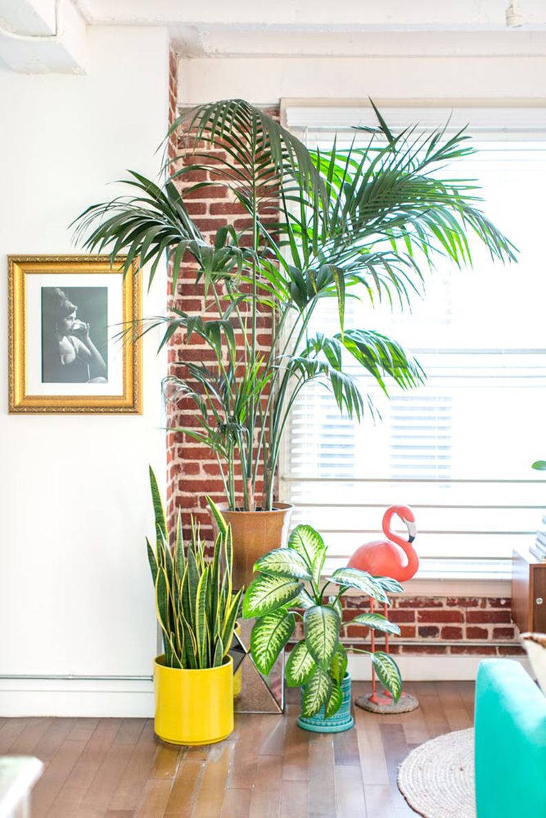 The tropical interior design of a Colourful Apartment in LA