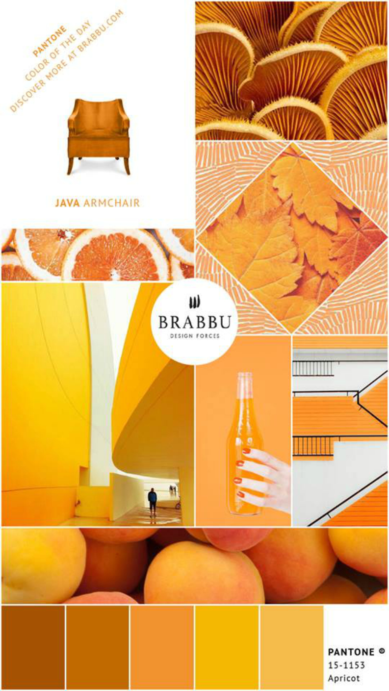 5 Interior Design Ideas With the Pantone Colors Of The Week 