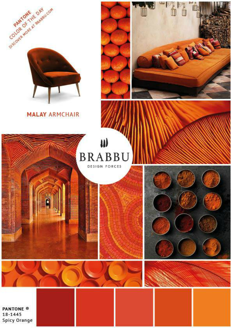 5 Interior Design Ideas With the Pantone Colors Of The Week 