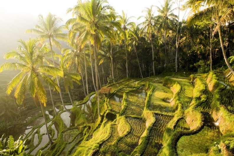 10 Best Travel Destinations For The Perfect Fall Vacation | Travel Destinations, trendy places, fall vacations #besttraveldestinations #fallvacations #trendyplaces 