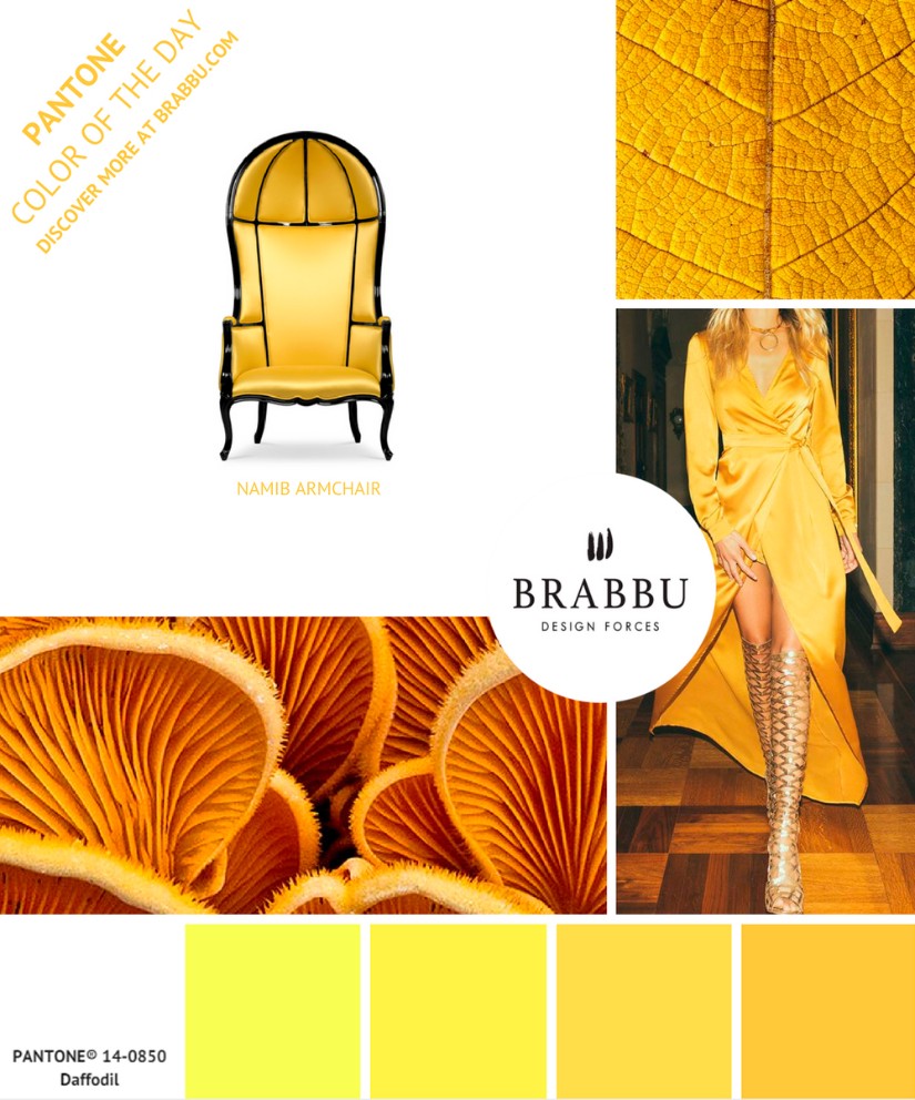 Interior Design Trends for 2019 - The Ultimate Guide