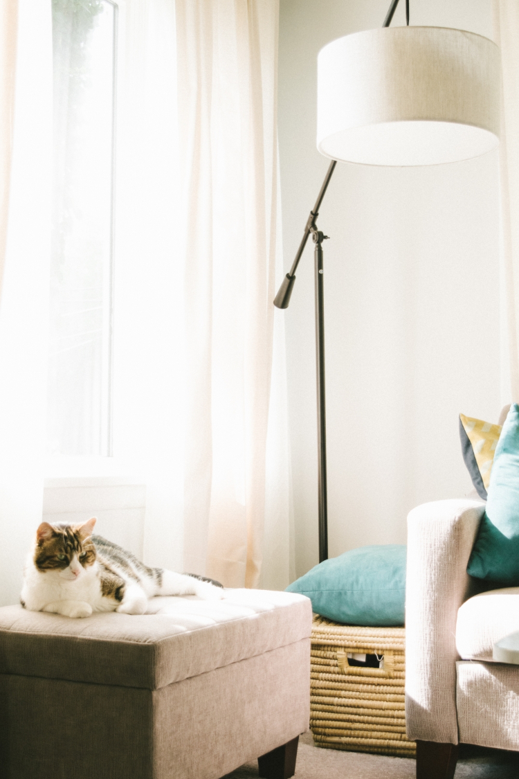 Chicago Tips - 5 Ways to Make a Small Living Room look Bigger