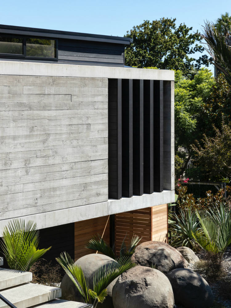 Daniel Marshall Architects - Upland Road