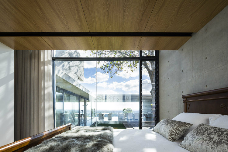Plane Tree House 
