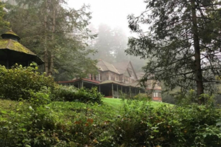 Spillian in Mist