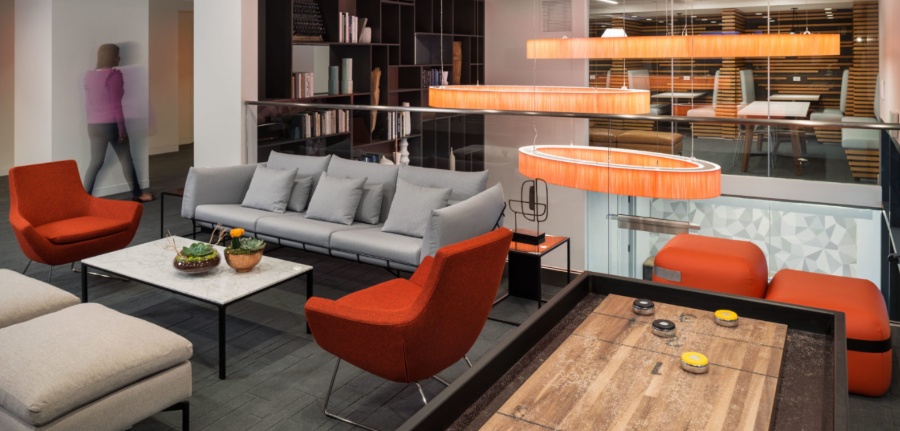 SCB - Everything You Need to Know About this Amazing Firm