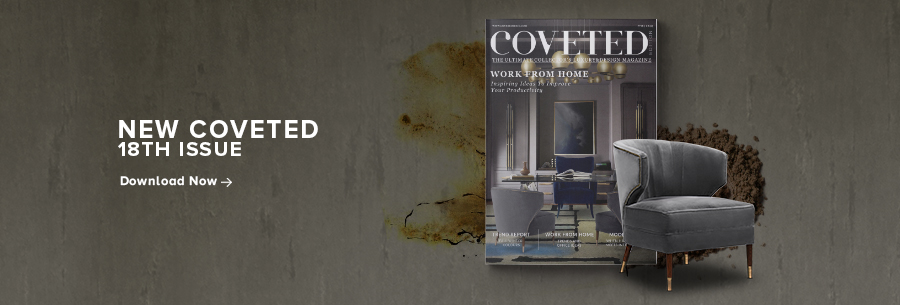 Coveted 18 Magazine, The Work From Home Issue