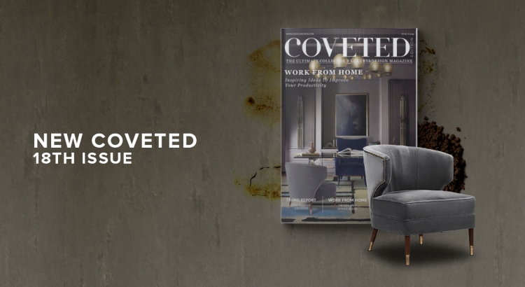 Coveted 18 Magazine, The Work From Home Issue