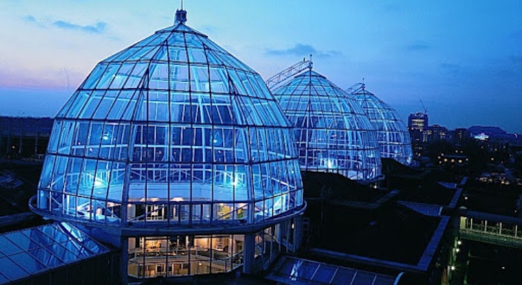 Showrooms in London