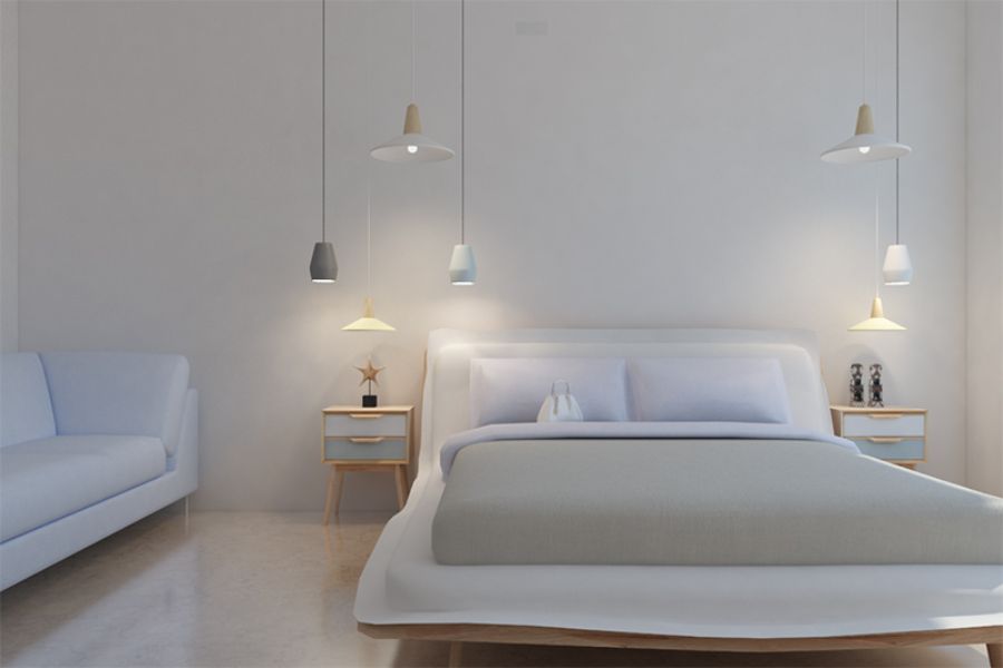 A Variety of Trends from Yellow Pig Design