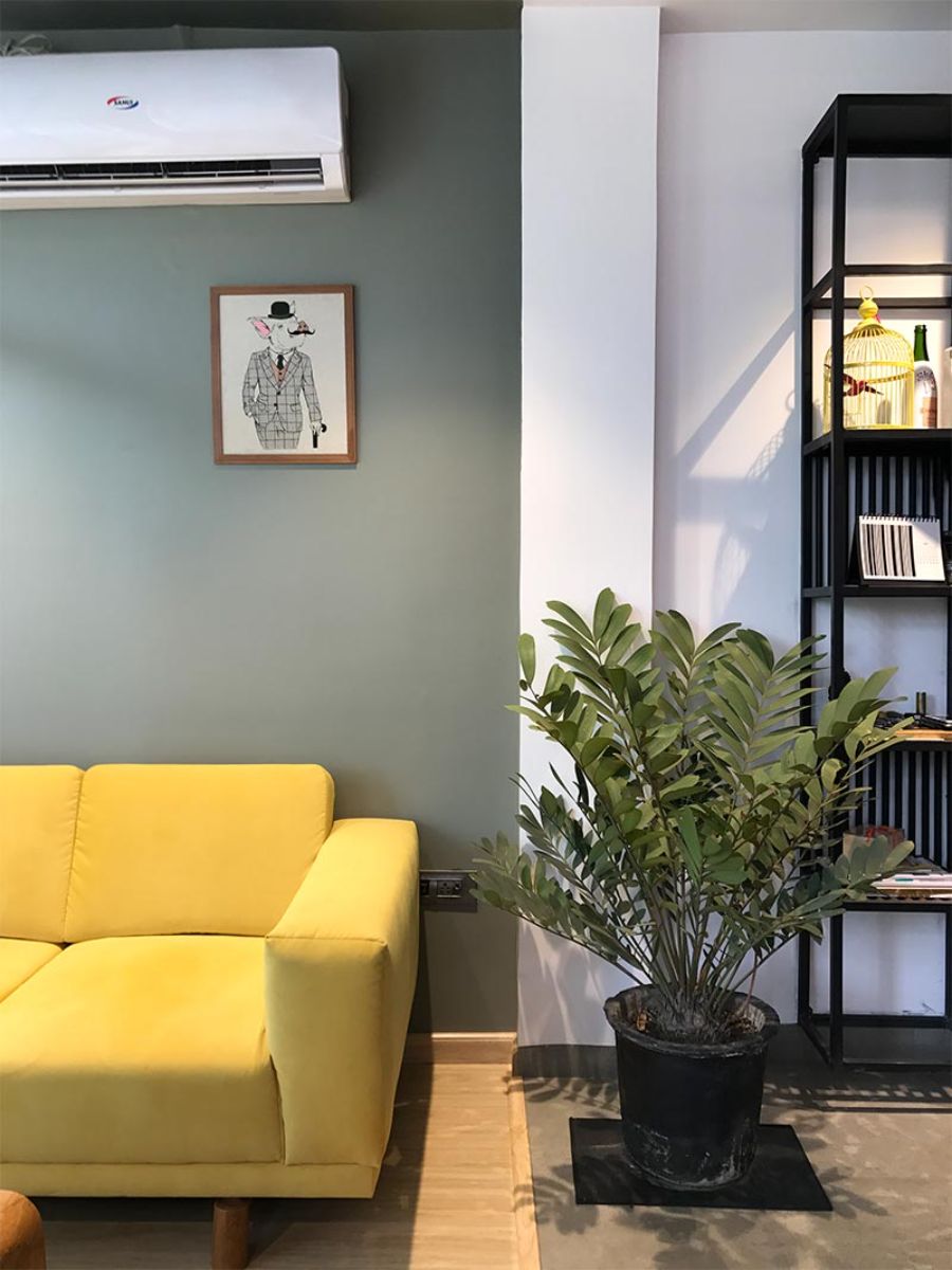 A Variety of Trends from Yellow Pig Design