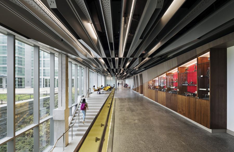 Perkins and Will: Fierce and Sustainable Designs