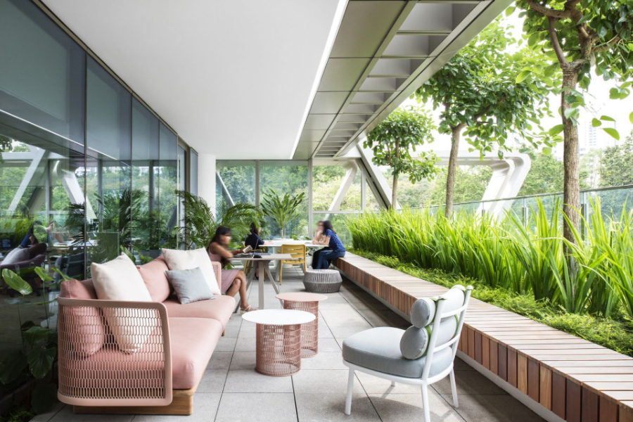 Hassell and Modern Interior Design Ideas