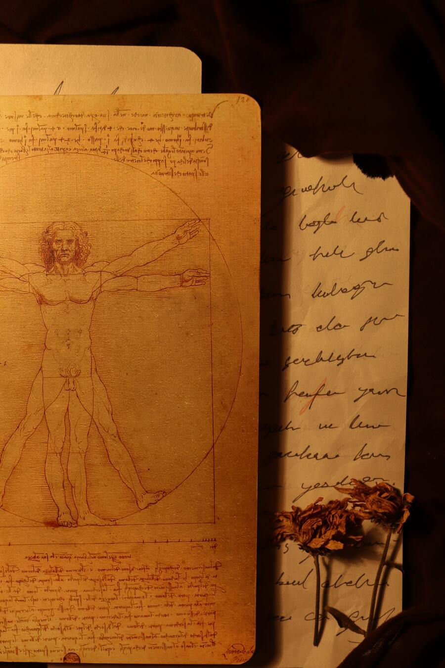 vellum collection 