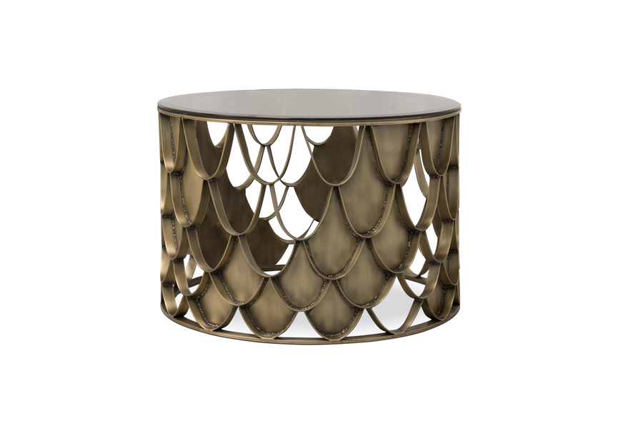 modern interior koi center table