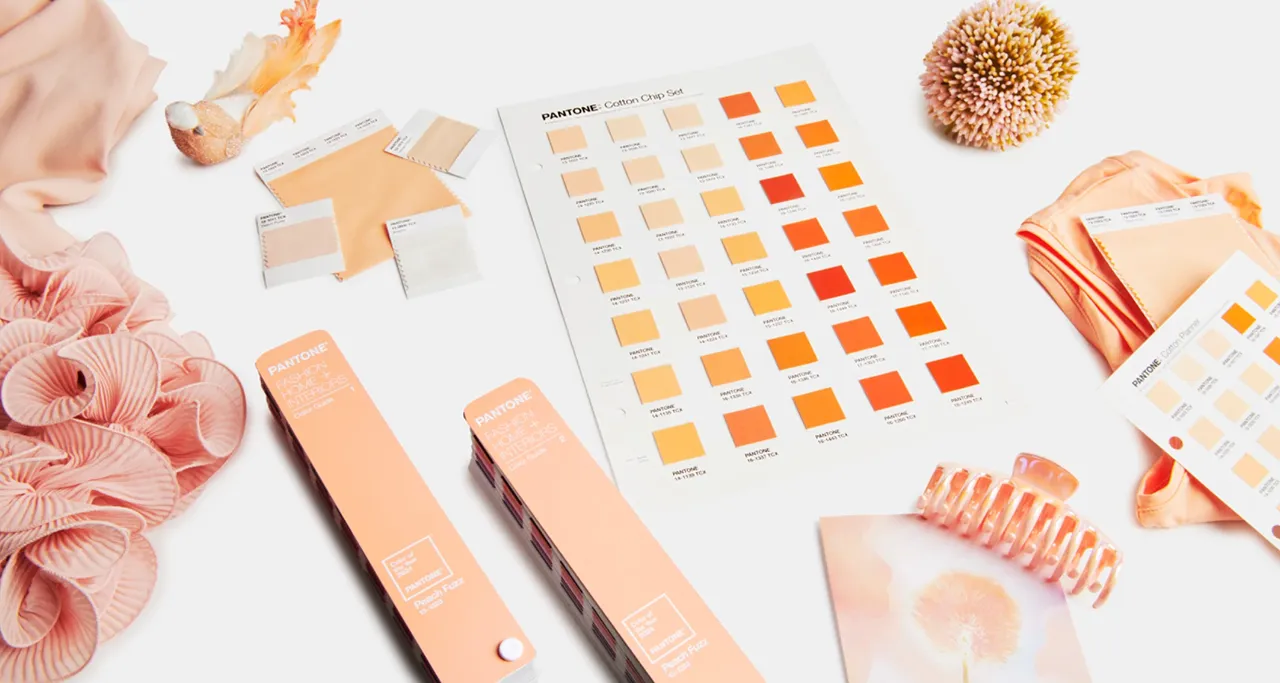 Peach Fuzz 2024: Pantone Colour of the Year in Interior Design