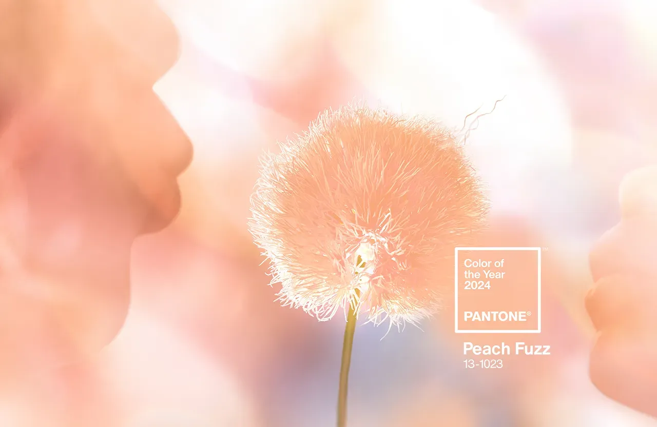 Peach Fuzz 2024: Pantone Colour of the Year in Interior Design
