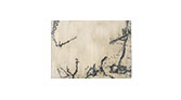GOBI | Rectangular Botanical Silk Rug by BRABBU