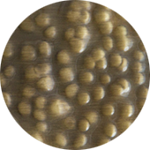 BRUSH HAMMERED AGED BRASS